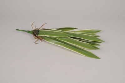 x373am Dracena artificiel vert H40cm