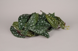 x374am Green artificial begonia tamaya L40cm