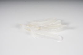 x379wg Sachet de 10 plumes d'oie blanches H15cm