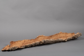 x388wg Dried cork bark L116cm