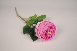 x396ee Pink artificial rose H60cm
