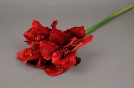 x407nn Artificial amaryllis red H64cm