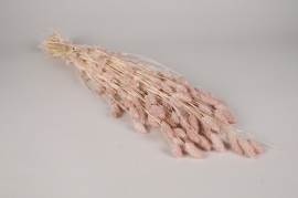 x408ab Light pink dried phalaris H70cm