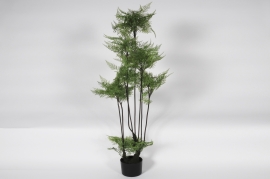 x438am Green artificial tree fern H158cm