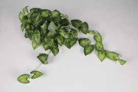 x440am Green artificial caladium L100cm