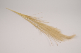 x449ee Cream artificial pampas grass H67cm