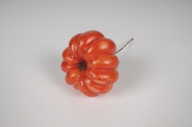 x457am Orange pumpkin pick D9cm