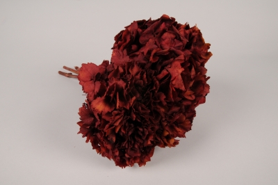 x463ab Hortensia pr�serv� bordeaux fonc� H36cm
