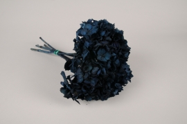 x465ab Hortensia pr&eacute;serv&eacute; bleu nuit H33cm