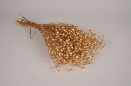 x472ab Gold dried flax H46cm
