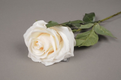 x473nn Rose artificielle cr�me H64cm