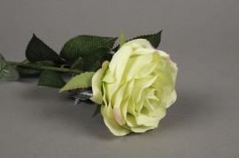 x474nn Green artificial rose