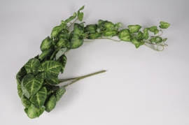 x477am Green artificial caladium L70cm