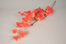 x481am Hedera artificiel orange H78cm