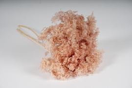 x489ab Hortensia pr&eacute;serv&eacute; rose H60cm