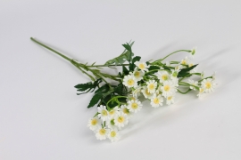x490am White artificial daisy H60cm