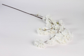 x496am White artificial Prunus H110cm