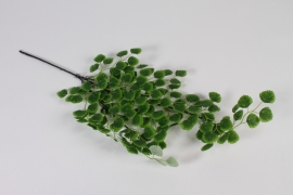 x500am Fougère capillaire artificielle verte H63cm