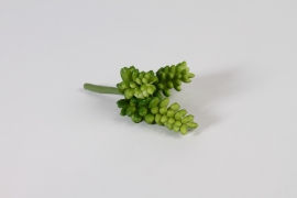x505am Succulente mini artificielle verte H14cm