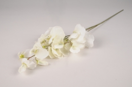 x522ee White artificial sweet pea H72cm