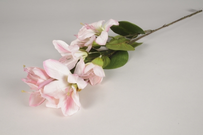x537ee Bauhinia artificiel rose clair H88cm