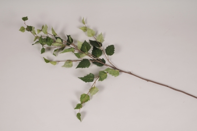x543ee Branche de bouleau artificiel vert H90cm