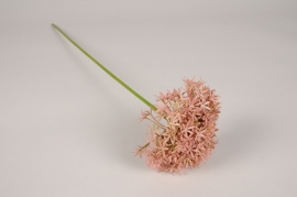 x570ee Allium artificiel rose clair H63cm 