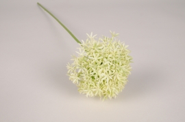 x571ee Allium artificiel vert H63cm 
