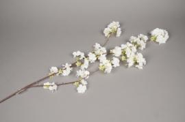 x576jp Cerisier artificiel blanc H135cm