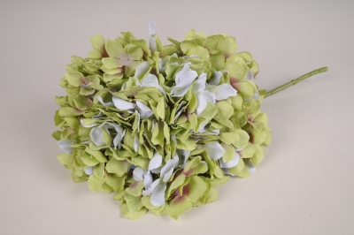x580jp Hortensia artificiel vert et bleu clair H45cm