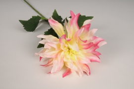 x590ee Dahlia artificiel crème et rose H63cm