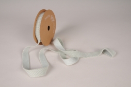 X611UN Light blue green wool ribbon 25mm x 7m