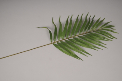 x612di Feuille de mascarena artificielle vert H80cm