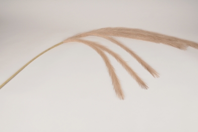 x613ee Plume artificielle beige H138cm