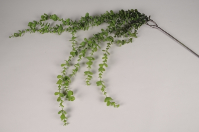 x617jp Eucalyptus artificiel vert L112cm