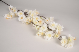 x628ee Cream artificial cherry blossom H122cm
