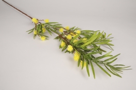 x633ee Acacia artificiel jaune H103cm