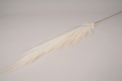 x686ee Cream artificial pampas grass H105cm