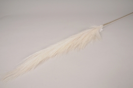 x686ee Pampa artificielle cr&egrave;me H105cm