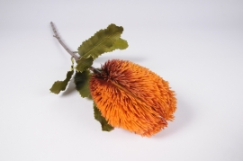 x693di Protea artificiel orange H64cm
