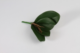 x697ee Feuilles de phalaenopsis artificielles vertes H24cm
