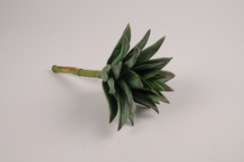 x700jp Succulente artificielle verte H18cm