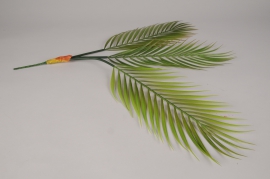 x709di Artificial green areca H60cm