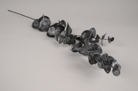 x713di Black artificial eucalyptus H74cm