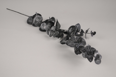 x713di Eucalyptus artificiel noir H74cm 