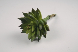 x715jp Green artificial succulent plant H18cm