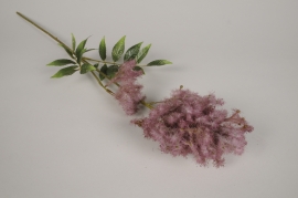 x727di Astilbe artificielle vieux rose H66cm