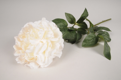 x749jp Pivoine artificielle cr�me H70cm