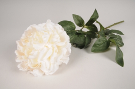 x749jp Pivoine artificielle cr&egrave;me H70cm