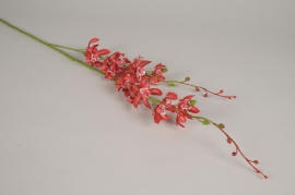 x754di Red artificial orchid H94cm